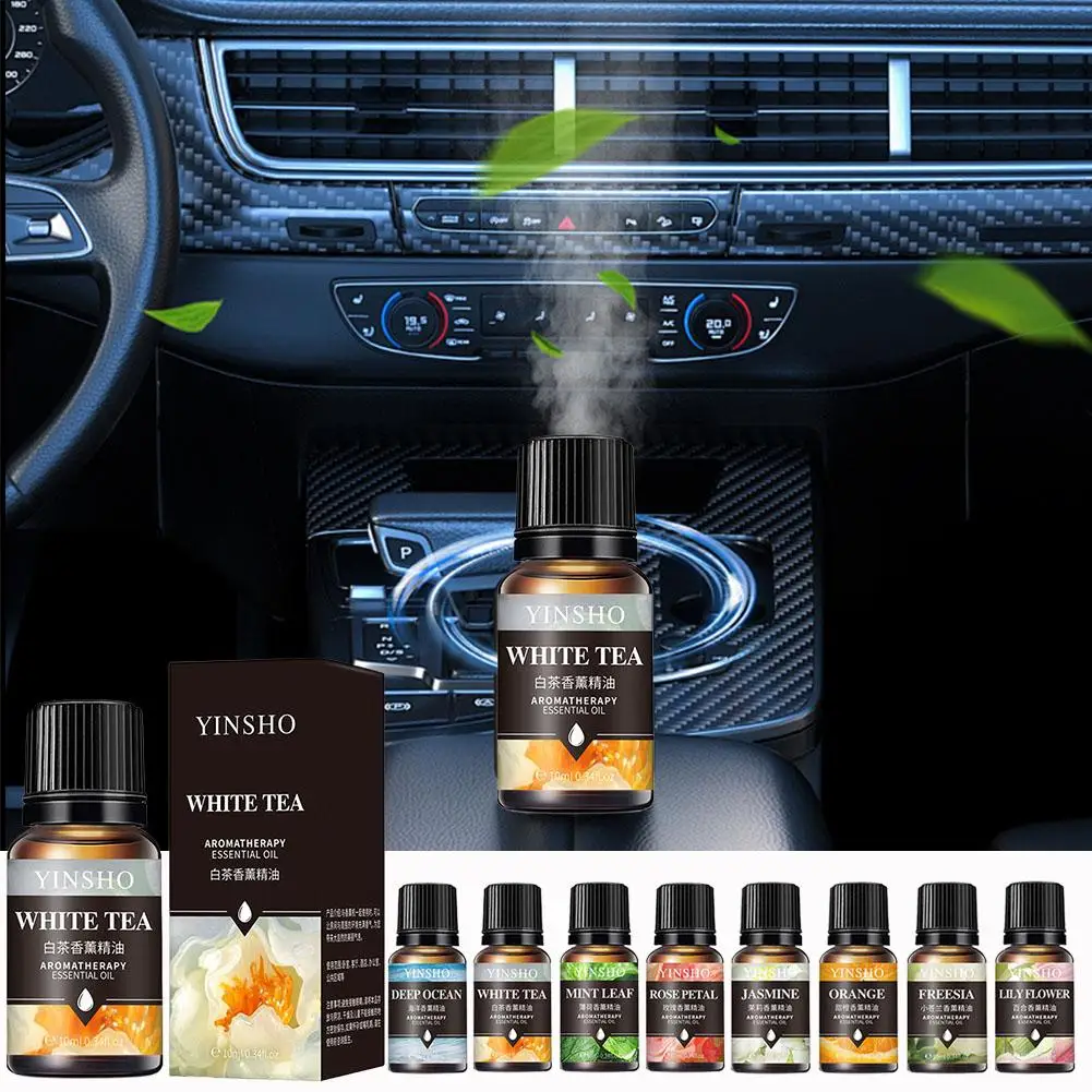 Aromatic Essential Oil Collection - 16 Fragrant Scents