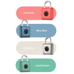 Cadenas intelligent à empreintes digitales, déverrouillage rapide, sans clé, USB, Rechargeable, pour porte, bagage 