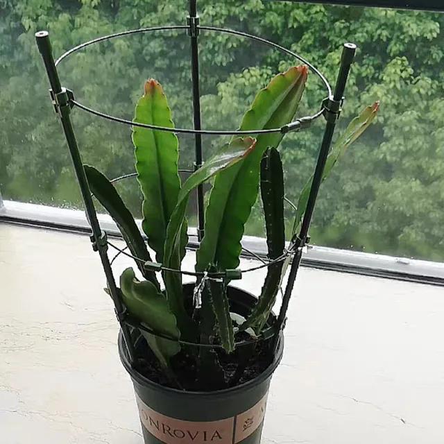 45 Cm -Es Növényi Tartó Hegymászó Szőlőállvány Cserepes Keret Műanyag Bevonatú Acél Zöldségek Dekoratív Rácsos K5 - Image 5