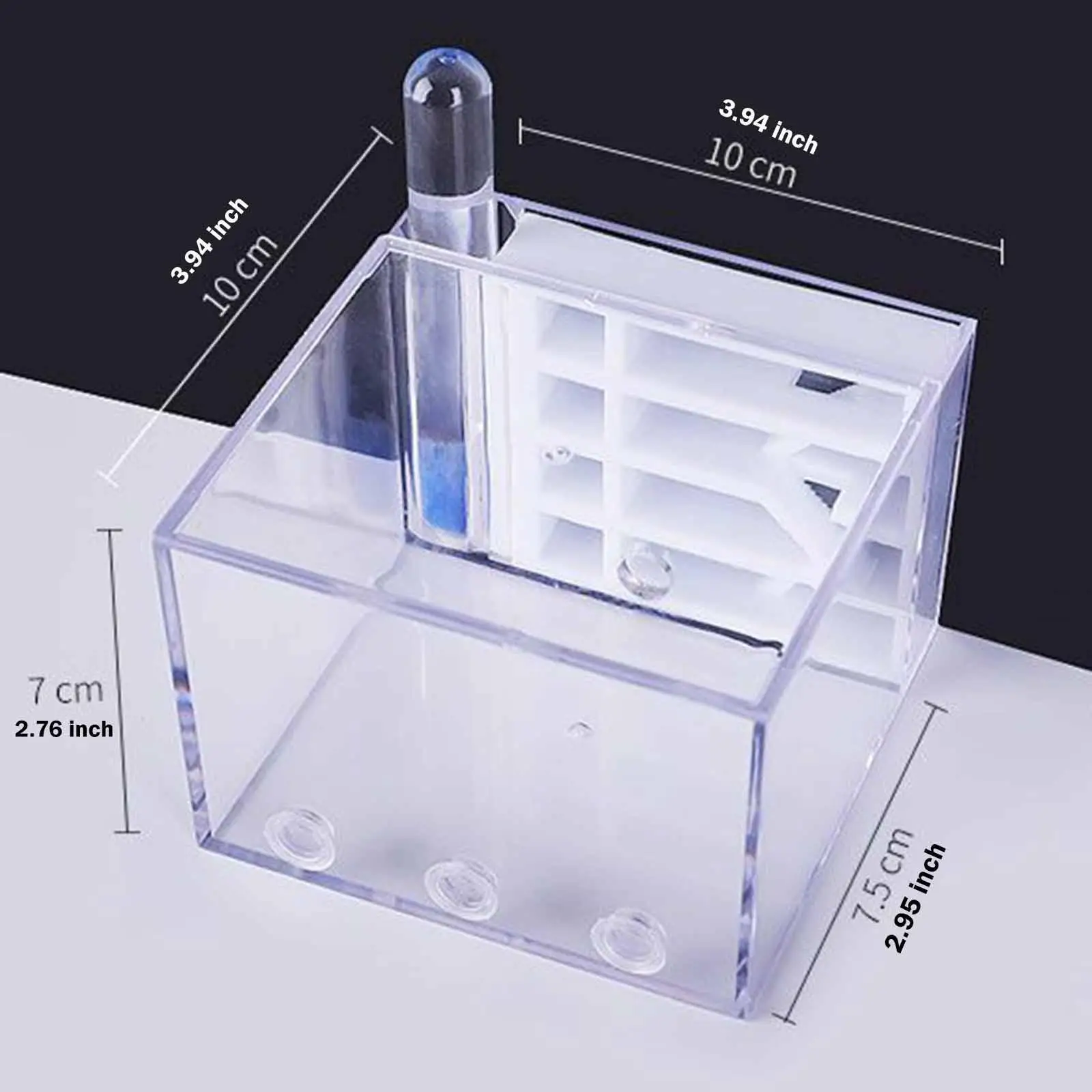 ANT Farm DIY Supplies Funny Toys Study ANT Habitat ANT Nest for Childrens Day Gift Decoration Tabletop Science Observation ANT Farm DIY Supplies Funny Toys Study ANT Habitat ANT Nest for Childrens Day Gift Decoration Tabletop Science Observation
