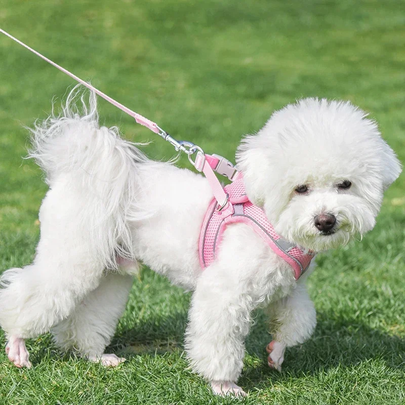 Dog Harness Vest Chest Cat Collars Rope Adjustable Breathable Mesh Dog Harness Clothes Outdoor Walking Small Medium Pet Supplies pet harness leash set,pet harness set