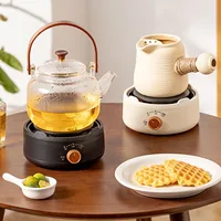 Electric Tea Stove, Multifunctional Mini Anti-Dry Burning,  ABS Construction, Fast Heating Hot Plate for Office Home Use CN 220 2
