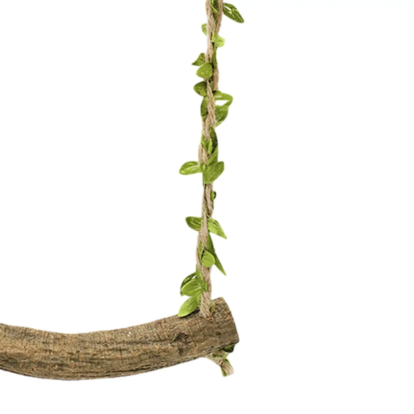   ޹ ĵ ޹  峭, ñ  峭,  Ʒ  ĵ, ġ޹ ޹ ޹ 