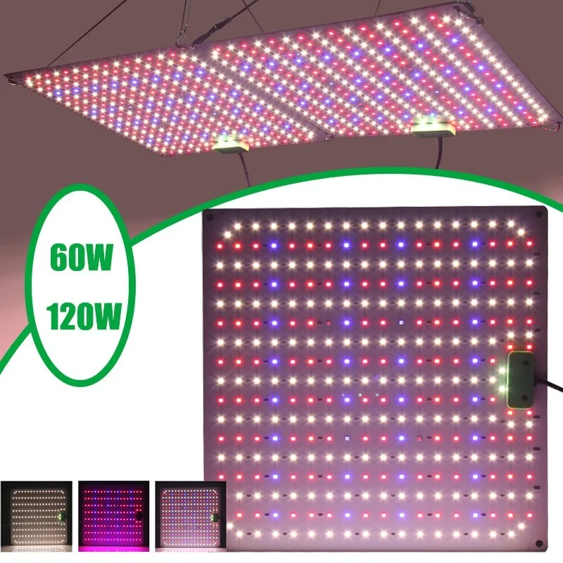 

60W 120W Full Spectrum LED Grow Light 5 Levels Dimmable LM281B 4000K For Greenhouse Plants For Greenhouse Vegetables Flowers