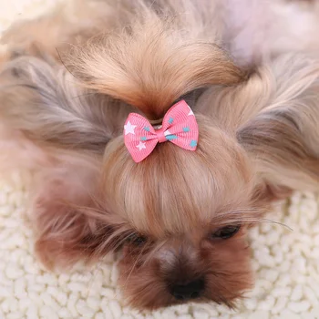 5pcs/Lot Colorful Bow Hairpin for Cats Dog Headdress Hair Bows Dog Pet Accessories Puppy Accessories Color Random 2