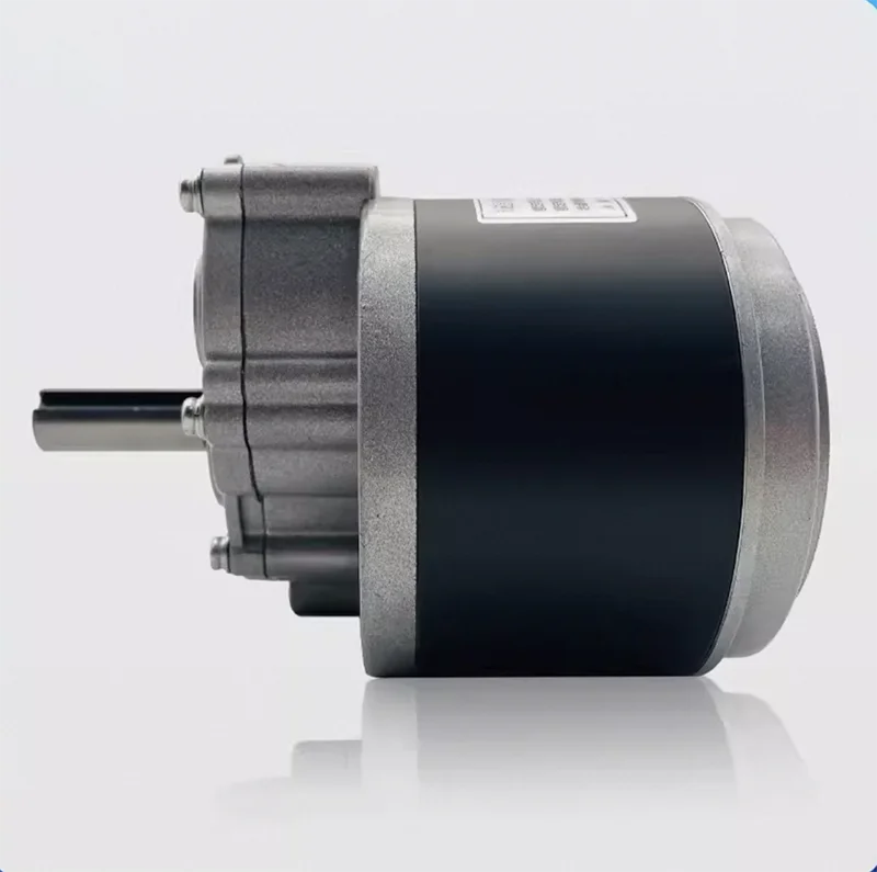 24V 250W 75/120RPM DC 브러시 낮은 속도 보조 감속 전기 자동차 휠체어 모터 44mm 더 긴 샤프트 0.64/0.98N.m