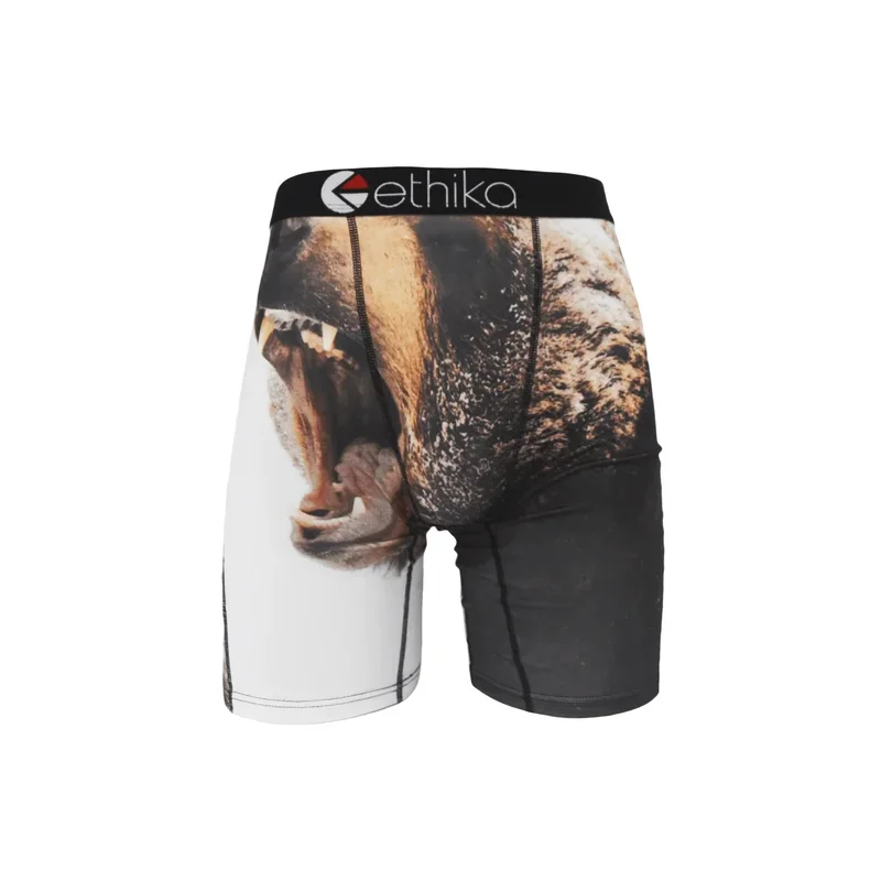 ETHIKA Sexy Men's Underwear Print Boxer Cueca Man Lingerie Men Panties Boxershorts Boxerbriefs Plus Size Boxers Briefs S-XXXL 6