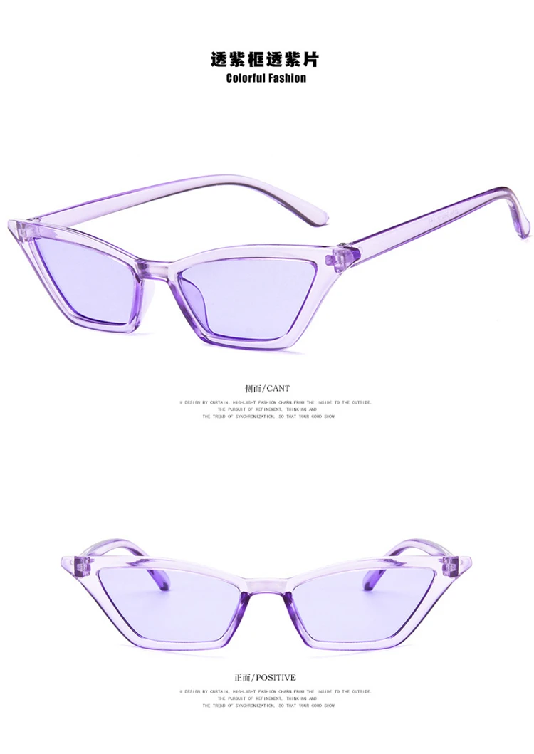 2018-New-Female-Vintage-Cat-Eye-Sunglasses-Women-Brand-Designer-Fashion-Retro-Small-Steampunk-Sun (16)