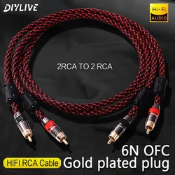 DIYLIVE Hifi RCA Cable High Quality 6N OFC HIFI 2RCA Male to Male Audio Cable
