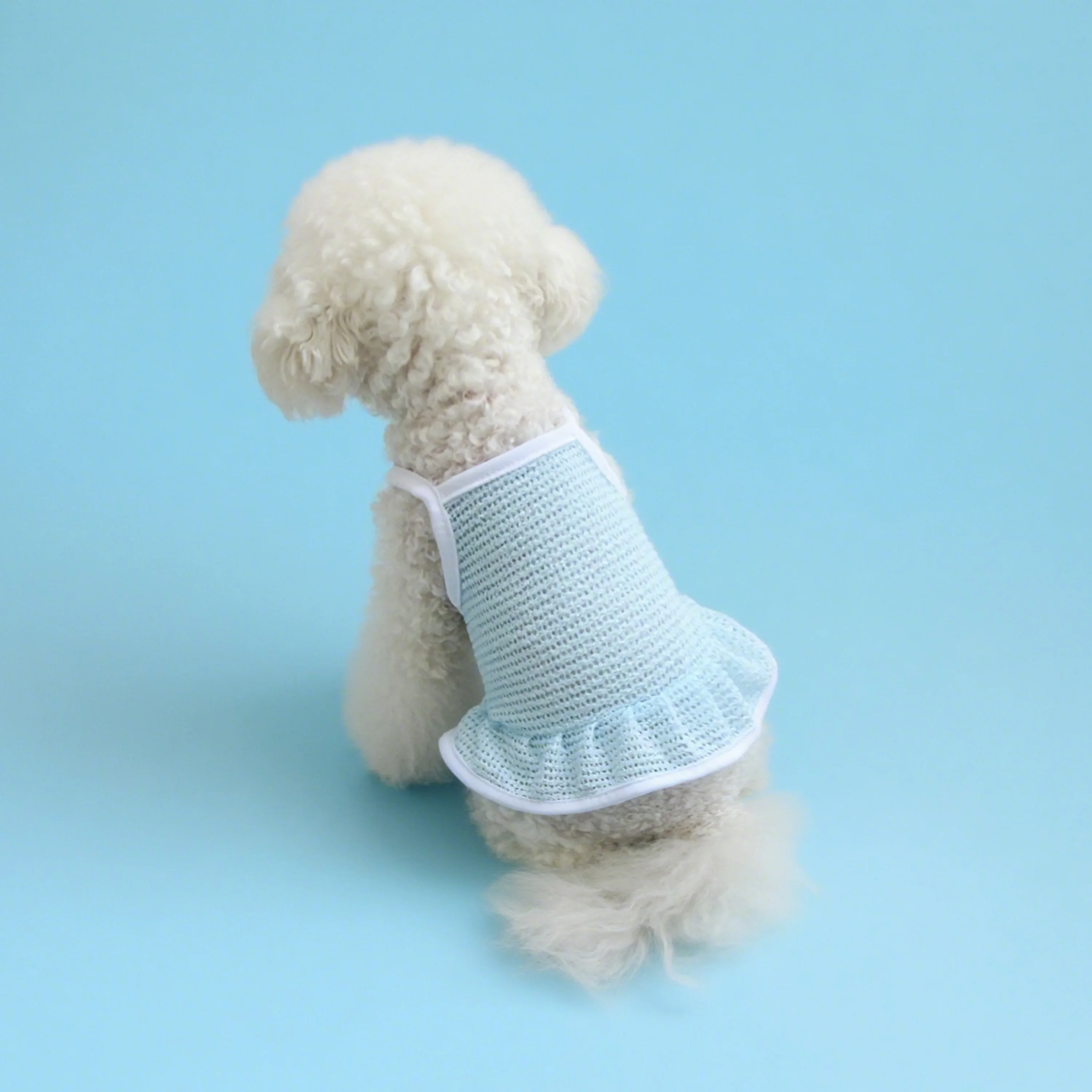 NONECN mesh pet dress for cats and dogs