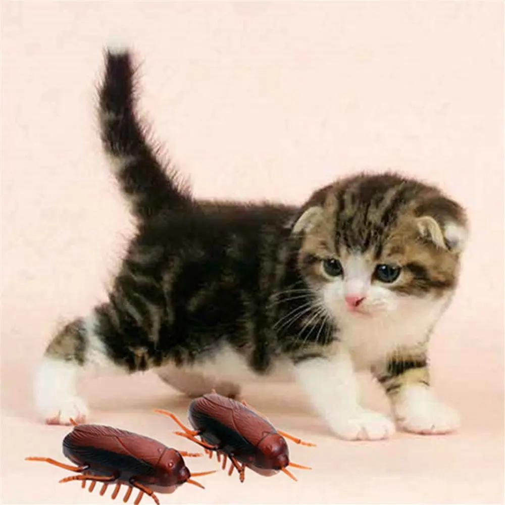 

Kitten Electronic Novelty Gag Toys Battery Kids Training Play Toy Cockroach