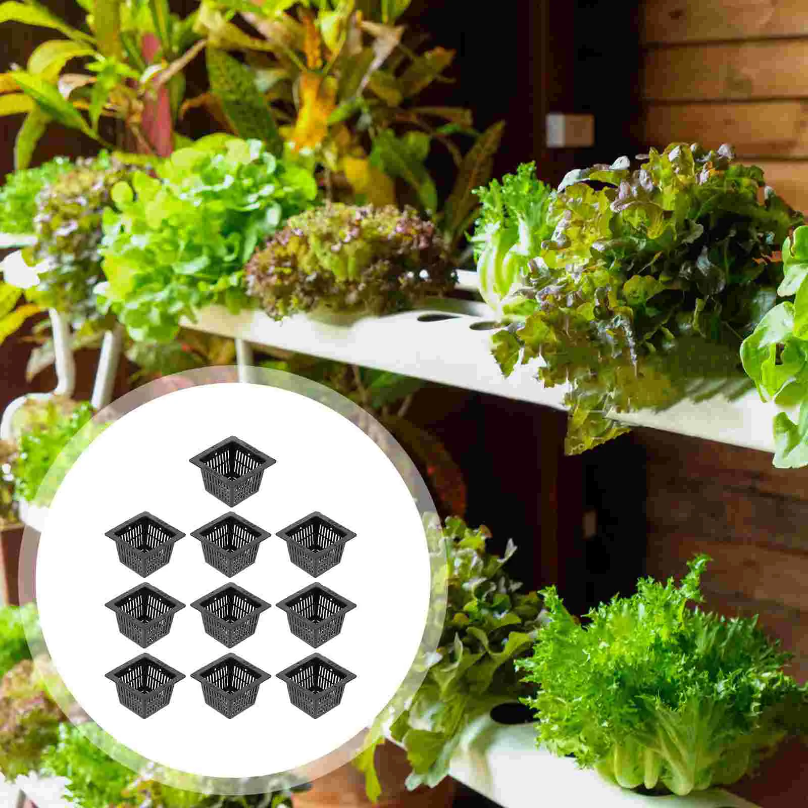 

10pcs Planting Basket, Net Pots Hollowed- out Cup Planting Basket Slotted Mesh for Vegetable Aquaponics Hydroponics
