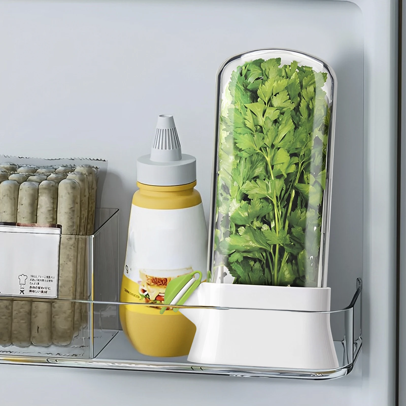 Herb Saver Keeper Box Fresh Container Veggie Storage Fresh Keeper Fridge Vege Preserve Bottle for Cilantro Mint Parsley Asparagu