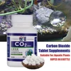 CO2 Tablet Carbon Dioxide Diffuser for Water Plant Grass Fish Aquarium  Landscape Design Carbon Dioxide Diffuser Water Plant 1