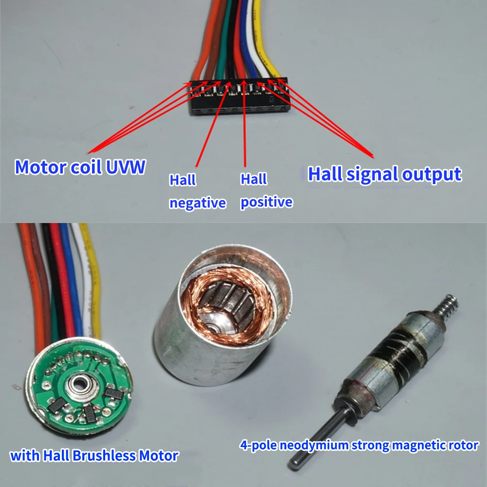 Micro moteur sans balais 1632 Hall BLDC 8V-18V 5600-12000 tr/min