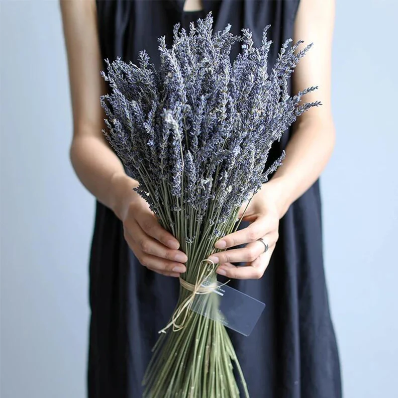 Natural Dried Flowers Flocked Lavender Bundle Plants Wedding