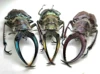 Sphaenognathus Feisthameli Real Insect Spade Beetle Insect Specimen Artwork Material Museum Collection Statues for Decoration 3