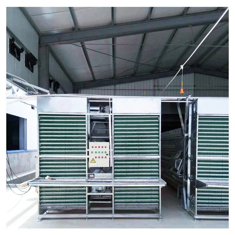 Hot sale low cost EPS material 90 / 120 birds 3 / 4 layers poultry chicken feeding cages system chicken layer cage
