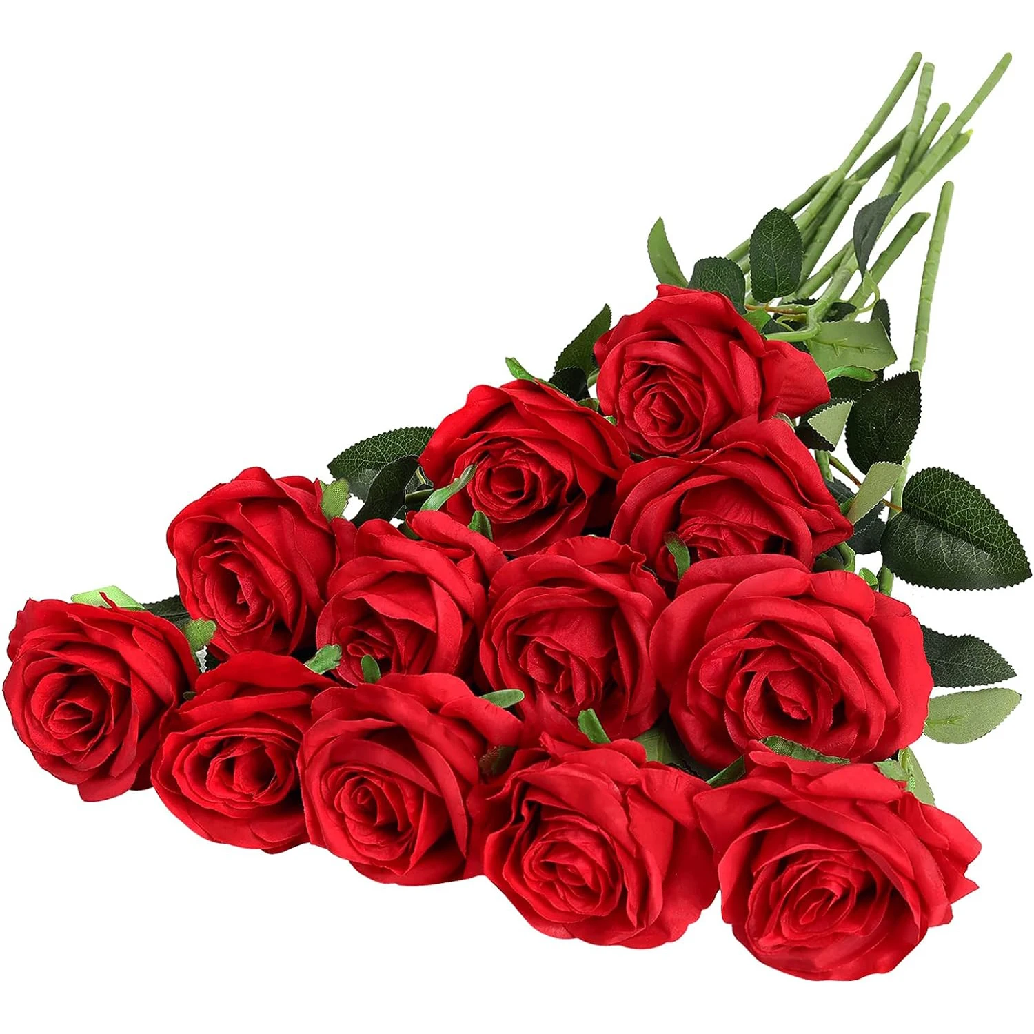 Sbd24c2253b1a48a49099843cb17846de7.jpg
