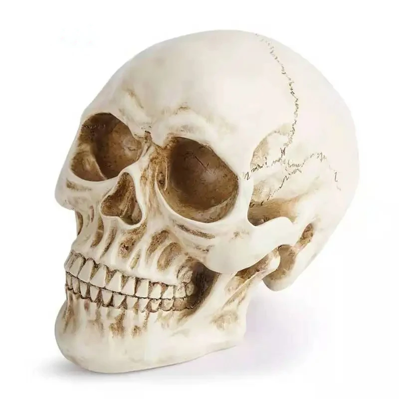 

Статуя из смолы с черепом, скульптура, декоративные поделки, фигурка, модель, Реплика, коллекция, украшение для дома, подарок на Хэллоуин