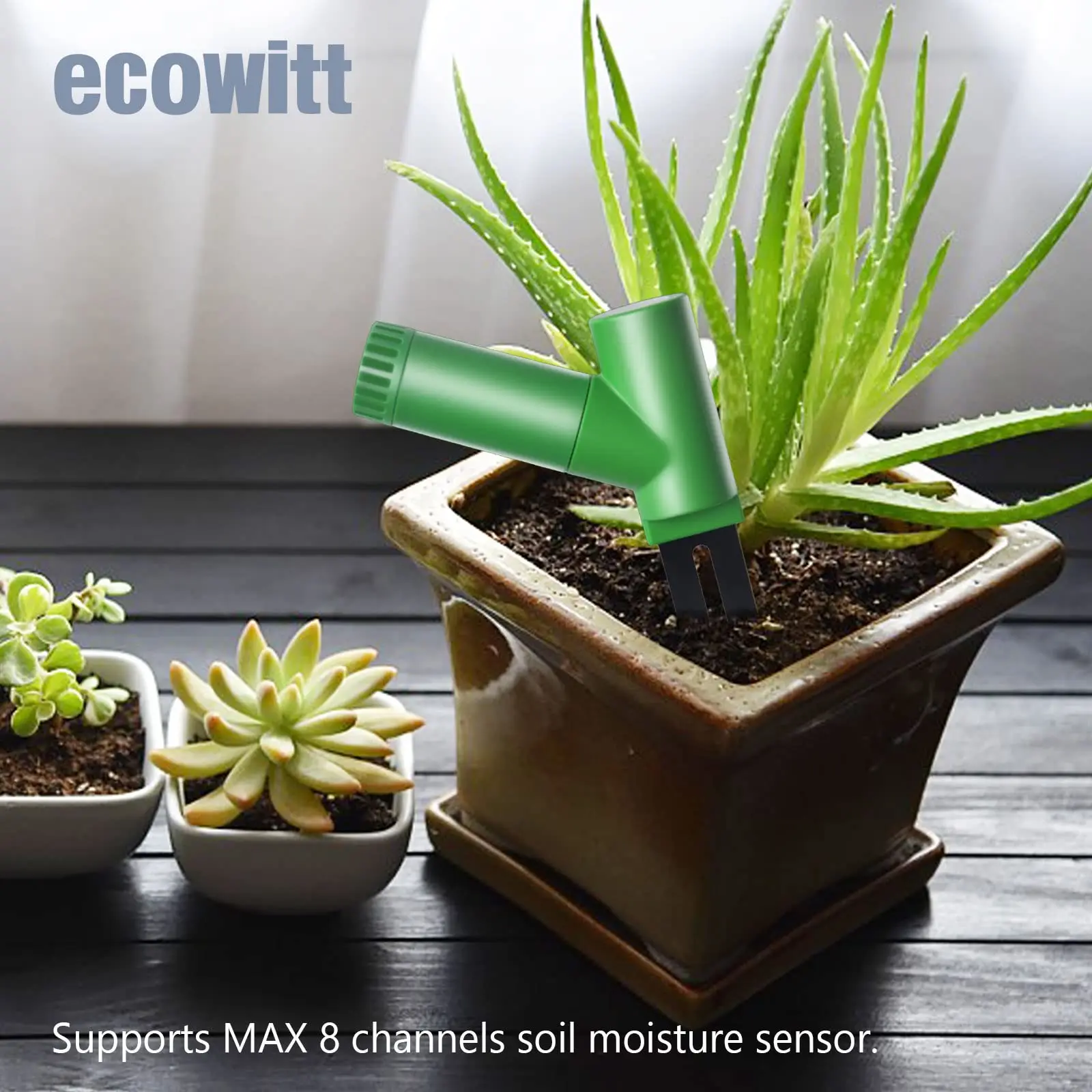 ECOWITT WH51   跮,  ׽, 8 ä  Ĺ   ׽,  , ܵ  Ұ