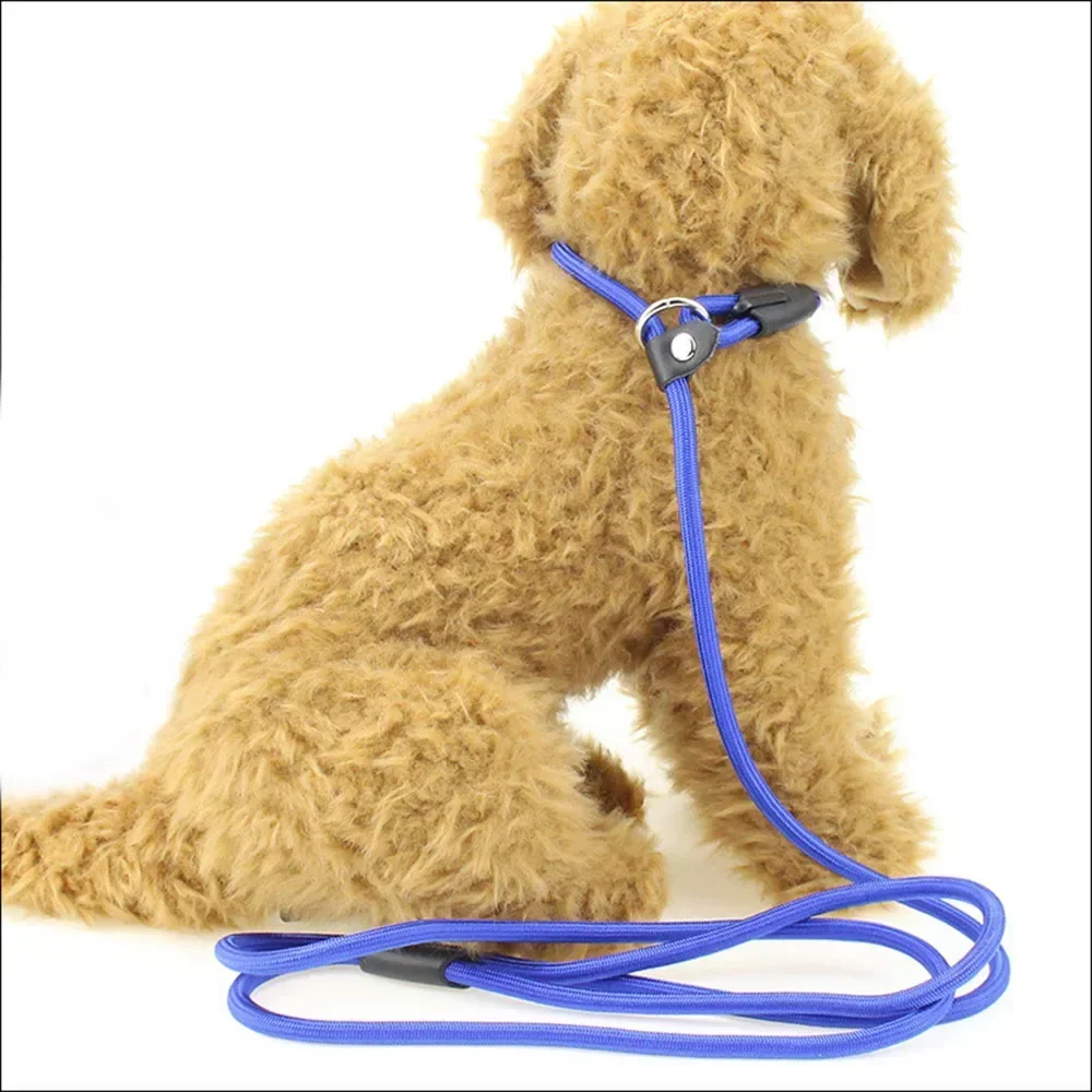 

Traction for Chains Training Leads Puppy Small Rope No Dogs Collar Heavy Slip Pet Dog Duty Nylon Leash Strong Pull