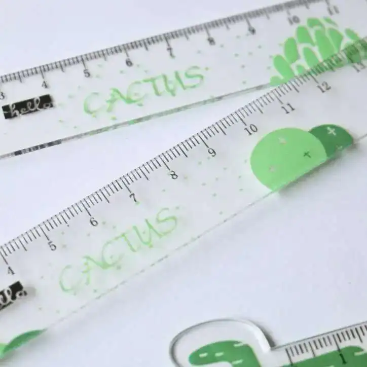 1 Piece Cute Kawaii Carrot Cactus Straight Ruler Rabbit Bunny Measuring Gift Stationery Ellen Brook Sewing Drawing Funny