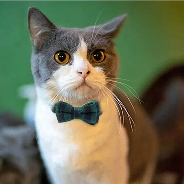1PC Cute Cat Collar Small Puppy Cat Dog Collars Bow Kitten Collar Bowknot Necklace with Bell for Dog Cat Chihuahua Pet Supplies 3