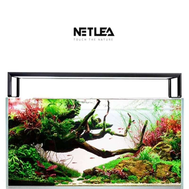 AliExpress