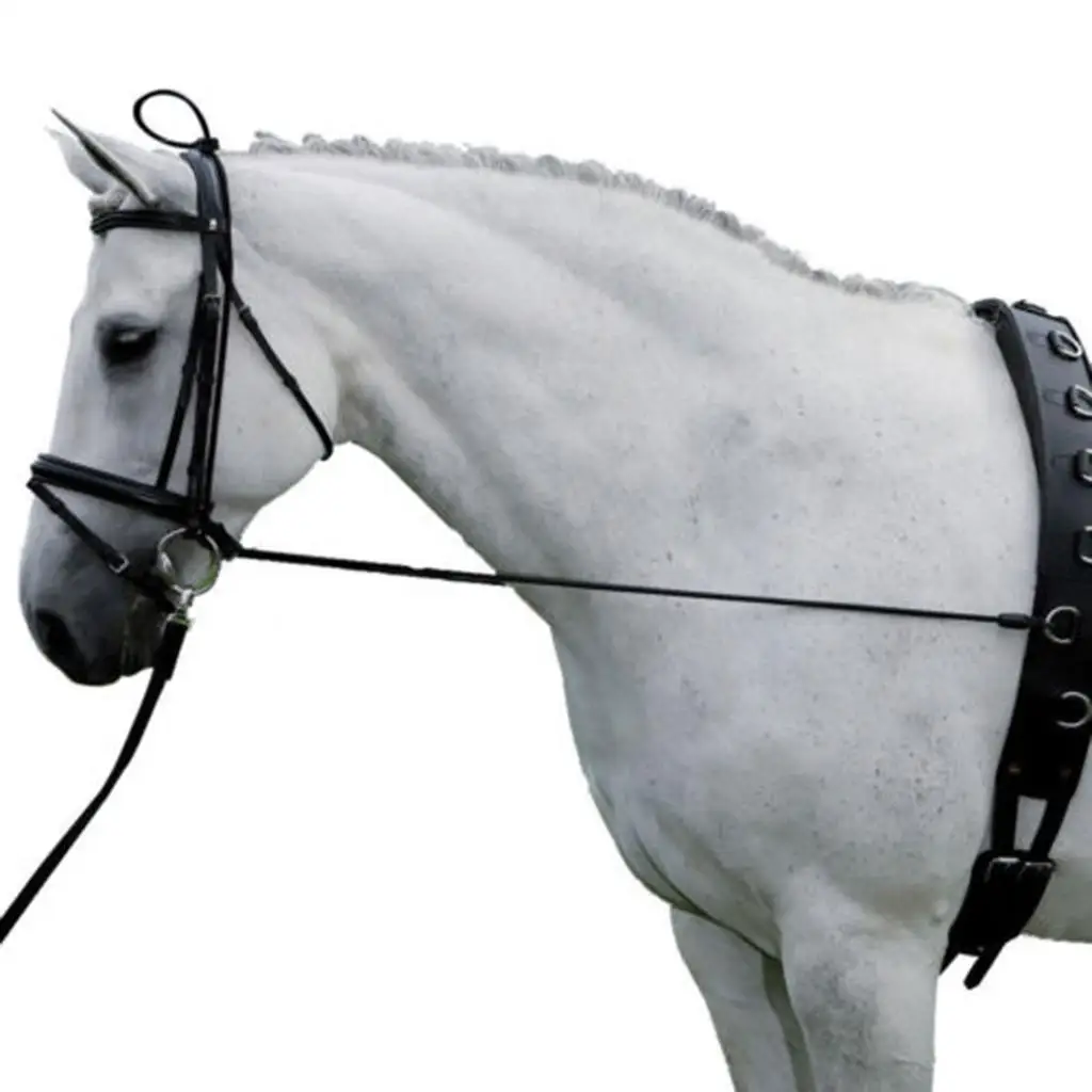 Black horse neck stretcher horse training care tool riding accessories 4