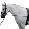 Black horse neck stretcher horse training care tool riding accessories 4
