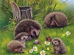 Hedgehog Print Cross Stitch Embroidery Kit - DIY Needlework - 80x100cm (HMA59628)