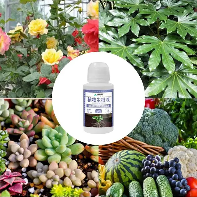 50 Ml Folyékony Gyökérhormonok A Bonsai Növények Vágására Műtrágya Gyökerező Hormonok Erősítik Gyökérnövekedés Otthoni Kerti Készleteit - Image 3