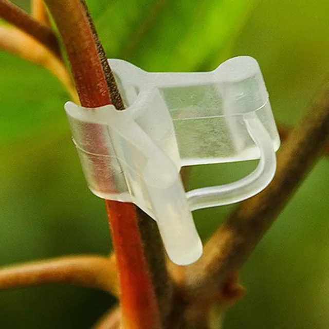100 Db/Csomag Mini Átlátszó Műanyag Oltó Klipek Paradicsom Növényi Tartók Összekötik A Szőlő Növényeket Klipeket - Image 3