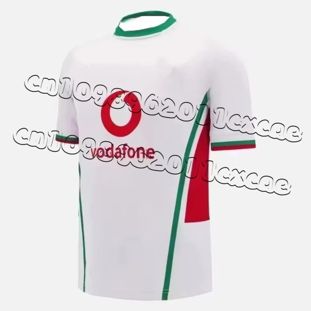 2025 Irish Rugby Sports Top Adult Children's Football Short Sleeve 3DQuick Dry Large Size High Quality Men's and Women's T-shirt view 3