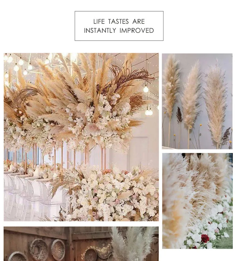 80Cm Large Pampas Grass Flowers Bouquet Fluffy Dried Floral Decoration - 5Pcs
