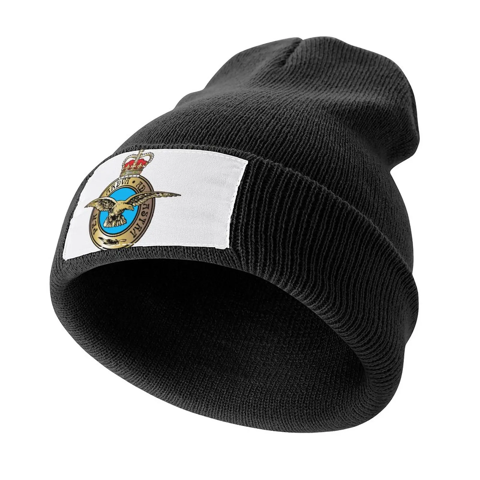 

Royal Air Force Badge Knitted Hat Hip Hop Big Size Hat Hat Female Men's