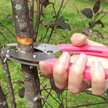 Grafting tools gardening scissors ring grafting knife fruit peeler peeling scissors stainless steel garden