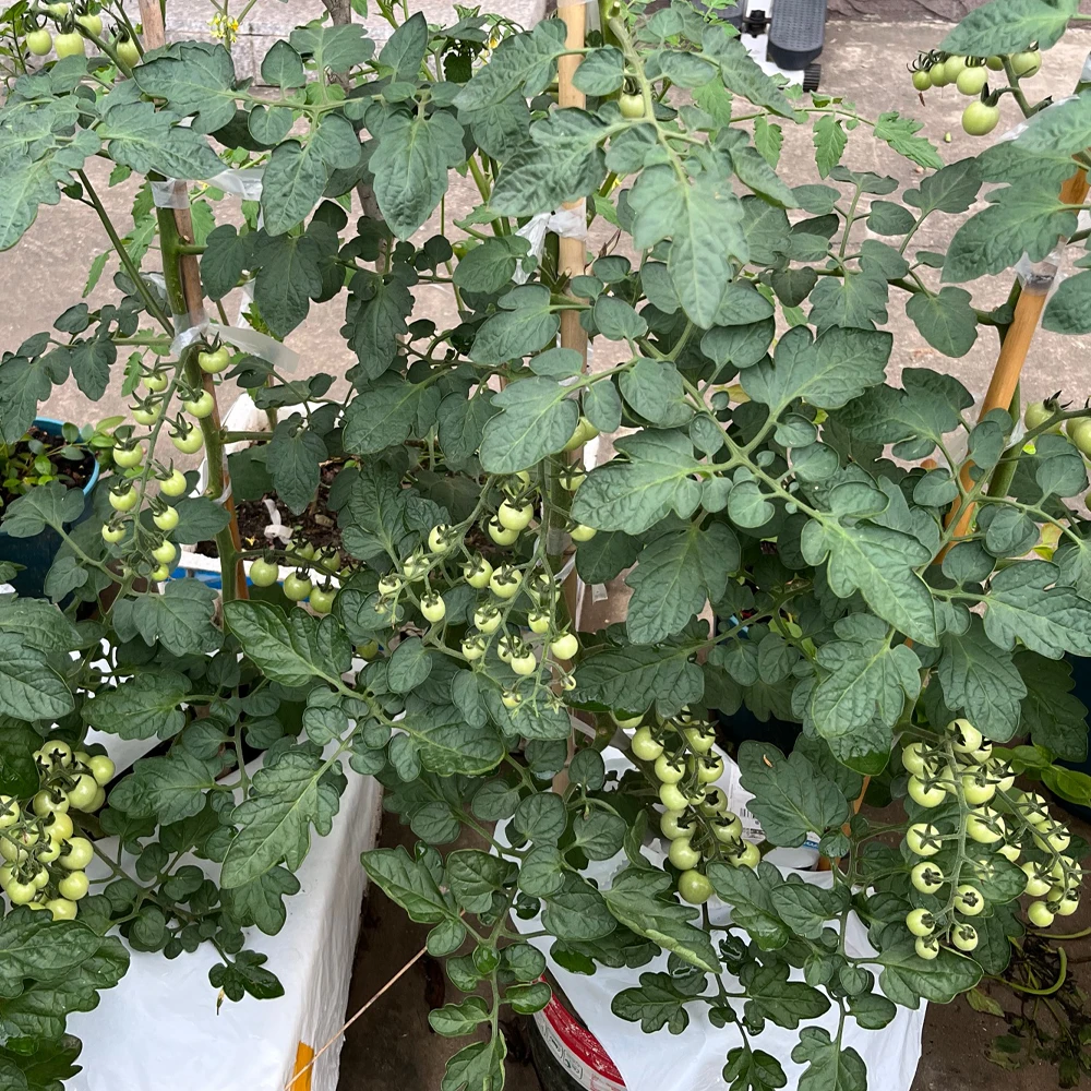 Slide image 1b71f5f61b2541d483b4b350d323a4da