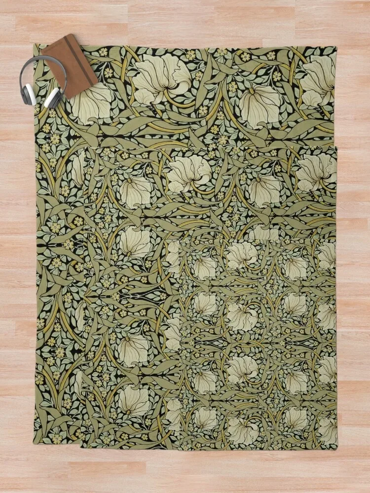 ������ �𸮽� �������� HD ���ο� ���, ǫ���� �ε巯�� ����, ķ�� ���