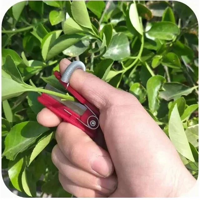 Zöldség Thump Knife Puner Garden Szerszám Olló Elválasztó Gyümölcs Betakarító A Mezőgazdasági Kerti Gyümölcsöshártya Számára - Image 6