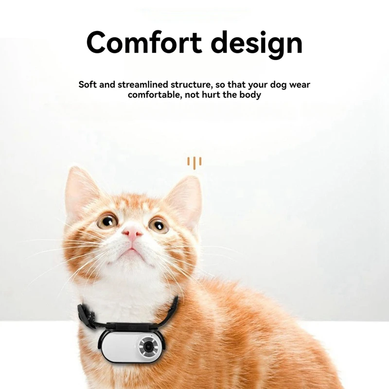 Pet Collar Camera For Pet Camera And Monitor With Wide Angle Lens, Mini Portable Stabilized Sports Body