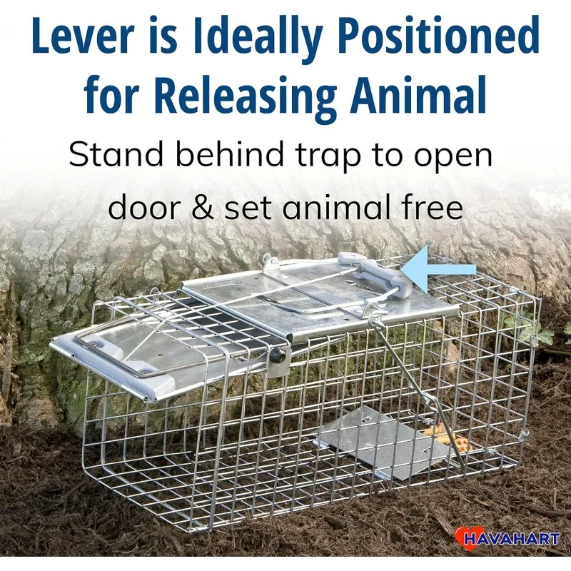 Havahart 1083 Catch and Release Small 1-Door Easy Set Humane Live Animal Trap for Squirrels, Rabbits, Skunks, and Other Small An