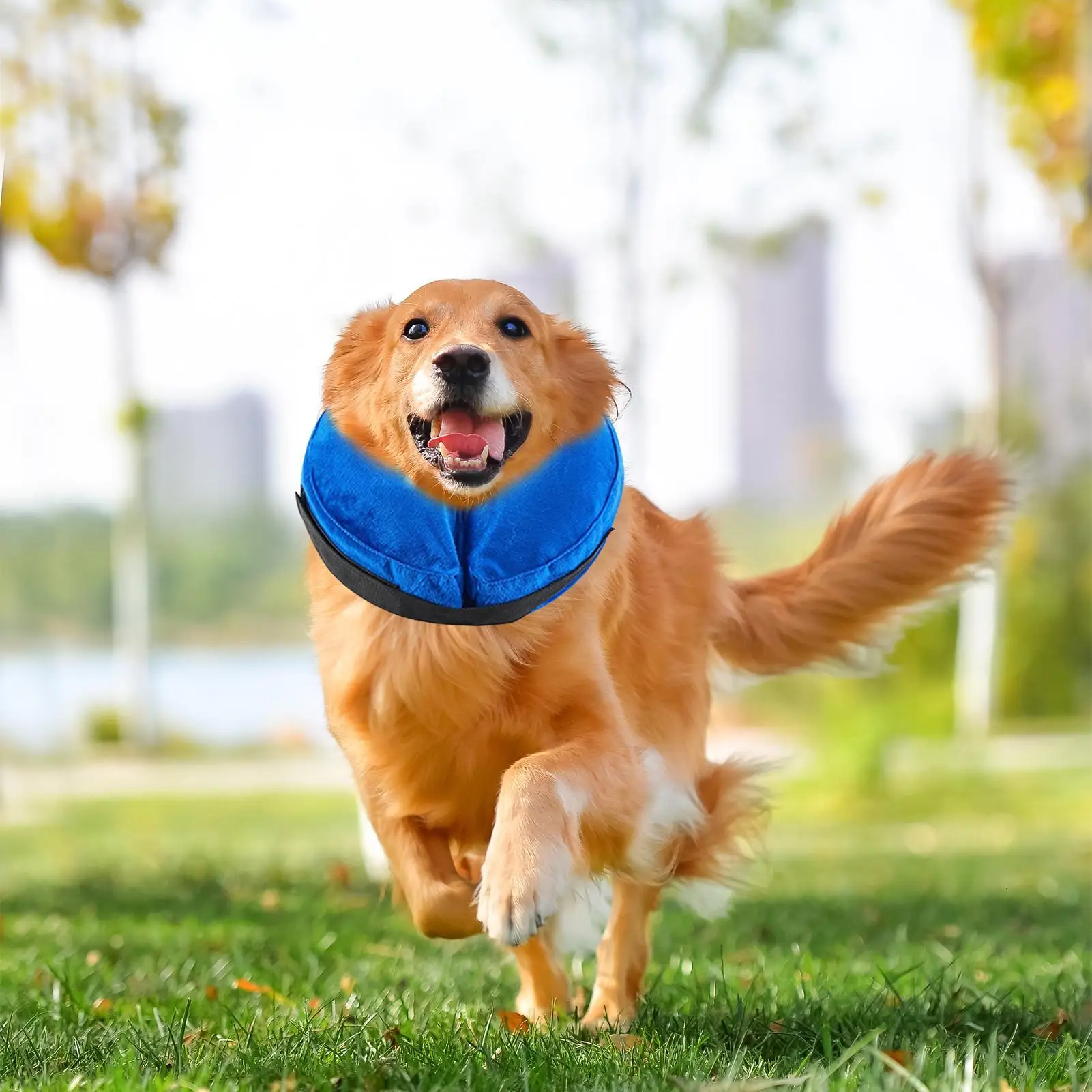 Dog Cone Adjustable Waterproof Pillow Dog Collar Cone For Recovery Pet Indoor Outdoor Puppy Kitten Bathing