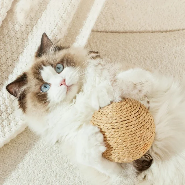 1PC 10CM cat toy sisal ball teasing cat stick molar bite-resistant sound ball self-hi boredom artifact 4