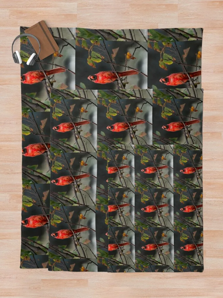 ��Ʈ ���� ���� �߱�� ���, ǳ���ϰ� �β��� ��� �ʴ��� ���