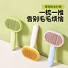 Pet Beauty Cleaning Comb Hair Removal Needle Comb Pet Hair Removal Massage Comb Dog And Cat Hair Comb 3