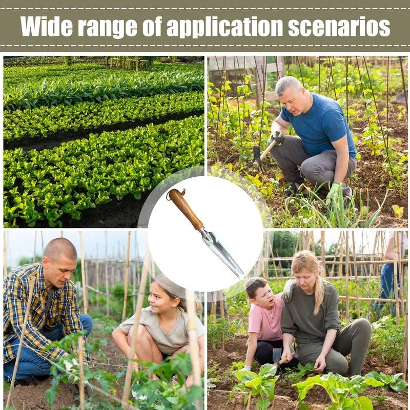 Slide image 143a465969c7434aa7814d754fd0eed5