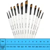 Angular Paint Brush,12pcs Nylon Hair Angled Paint Brushes Set Art Paintbrush for Watercolor, Acrylic, Gouache, Oil Painting 2