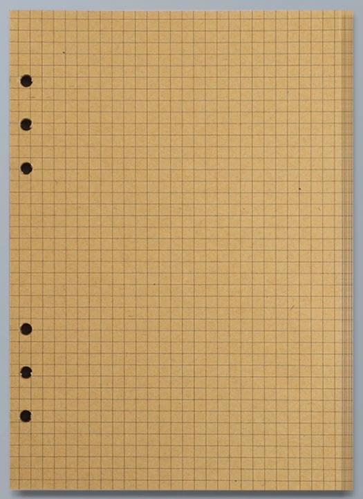 Craft Loose Leaf Notebook Refill - Spiral Binder Inner Pages with Line, Blank, and Grid Options